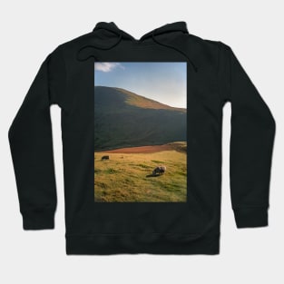 Sheep Grazing on the Mountain Hoodie